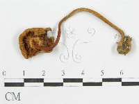 登錄號:F0014385藏品圖，第1張