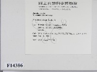 登錄號:F0014386藏品圖，第2張