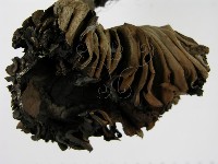 登錄號:F0014386藏品圖，第4張