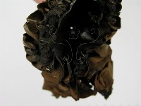 登錄號:F0014386藏品圖，第5張
