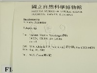 登錄號:F0014387藏品圖，第2張