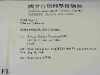 登錄號:F0014389藏品圖，第2張