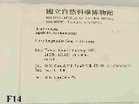 登錄號:F0014390藏品圖，第2張