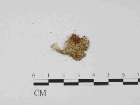 登錄號:F0014390藏品圖，第3張