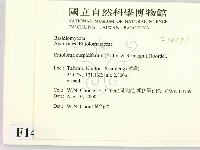 登錄號:F0014391藏品圖，第2張