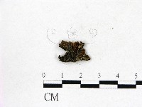 登錄號:F0014391藏品圖，第1張