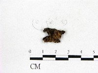 登錄號:F0014391藏品圖，第3張