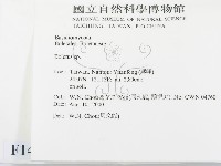 登錄號:F0014392藏品圖，第2張