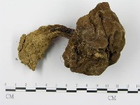 登錄號:F0014393藏品圖，第3張