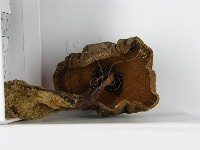 登錄號:F0014393藏品圖，第4張