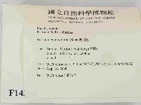 登錄號:F0014394藏品圖，第2張