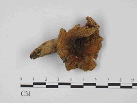 登錄號:F0014394藏品圖，第1張
