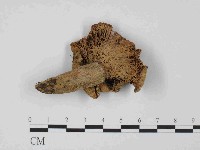 登錄號:F0014394藏品圖，第3張