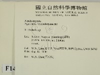 登錄號:F0014395藏品圖，第2張