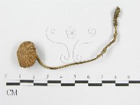 登錄號:F0014397藏品圖，第3張