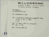 登錄號:F0014399藏品圖，第2張