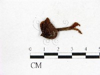 登錄號:F0014401藏品圖，第1張