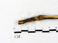 登錄號:F0014403藏品圖，第4張