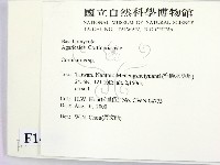 登錄號:F0014405藏品圖，第2張