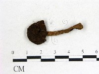 登錄號:F0014405藏品圖，第1張