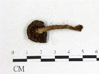 登錄號:F0014405藏品圖，第3張