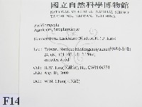 登錄號:F0014406藏品圖，第2張