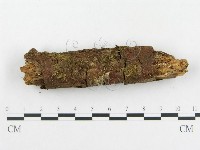 登錄號:F0014407藏品圖，第4張