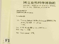 乳菇屬藏品圖，第2張