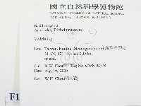 登錄號:F0014410藏品圖，第2張