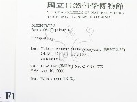 登錄號:F0014411藏品圖，第2張