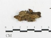 登錄號:F0014411藏品圖，第3張