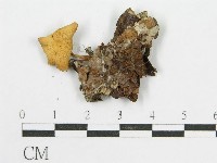 登錄號:F0014415藏品圖，第3張