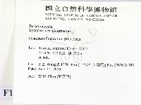 登錄號:F0014416藏品圖，第2張