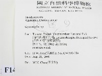登錄號:F0014417藏品圖，第2張