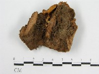 登錄號:F0014417藏品圖，第1張