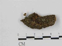 登錄號:F0014418藏品圖，第1張