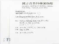 登錄號:F0014419藏品圖，第2張