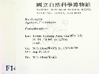 登錄號:F0014420藏品圖，第2張