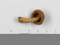 登錄號:F0014423藏品圖，第3張