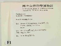 登錄號:F0014424藏品圖，第2張