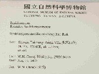 登錄號:F0014426藏品圖，第2張