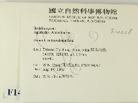 登錄號:F0014428藏品圖，第2張