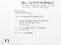 登錄號:F0014430藏品圖，第2張