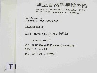 登錄號:F0014433藏品圖，第2張
