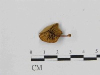登錄號:F0014433藏品圖，第3張