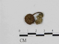 登錄號:F0014434藏品圖，第1張