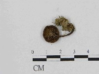 登錄號:F0014434藏品圖，第3張