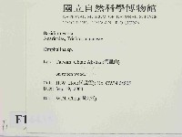 登錄號:F0014435藏品圖，第2張