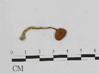 登錄號:F0014435藏品圖，第1張