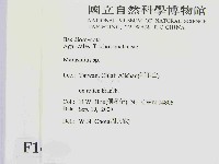 小皮傘屬藏品圖，第2張